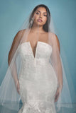 Anne Barge "Eternal" Veil