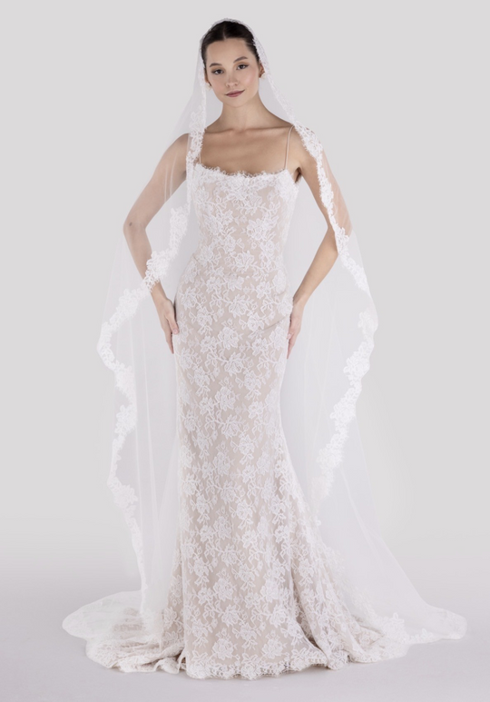 Blue Willow "Gibbes" Veil